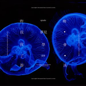 昨晚我梦见我学会了游泳