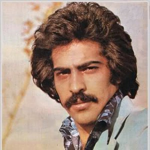 Avatar for Morteza Barjesteh