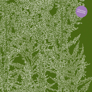 Alcachofa cover