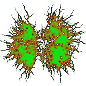 Infected Gastroenteritis 的头像
