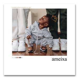 Ameixa (feat. Zudizilla & Nave) - Single