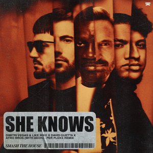 She Knows (with Akon) [Per Pleks Remix]