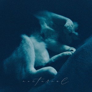 Nocturnal
