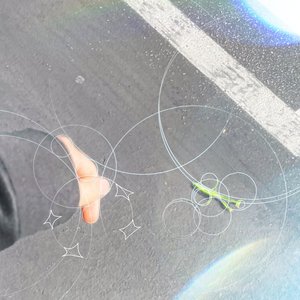 mantis