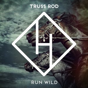 Run Wild - Single