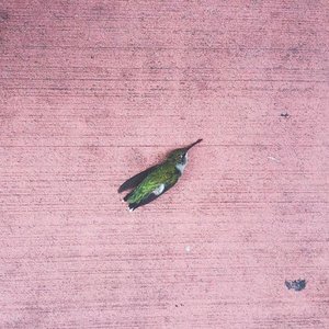 All These Songs Are Happy Songs