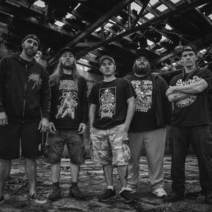 Avatar for Brace For Impact