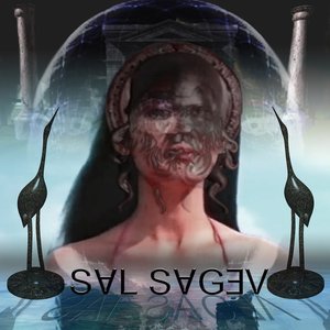 Sal Sagev 的头像