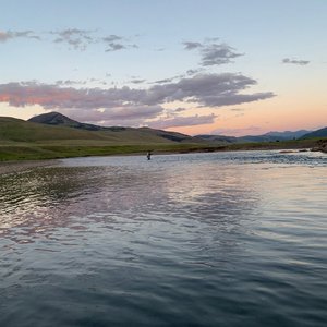 Yellowstone Ambient