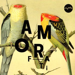 Amor Fati
