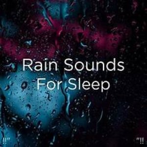 Rain Sleep Sounds