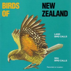 Land Bird Calls - Sea Bird Calls