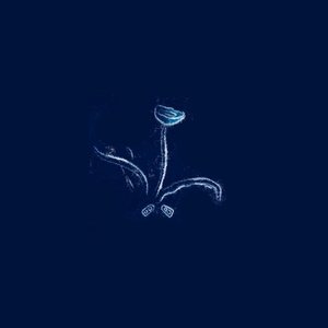 Sixes (Maston Remix)