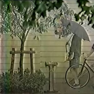 一緒に雨の庭を歩きます / 雲に浮かぶ