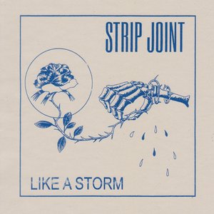 Like a Storm - Single
