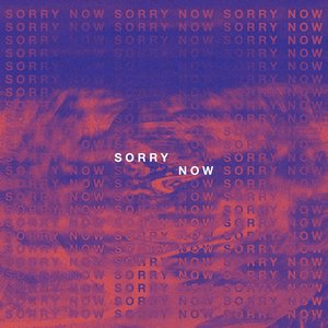 Sorry Now - Single