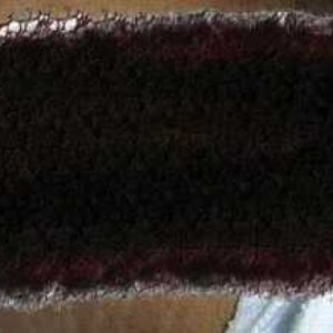 Vaginal Urine Menstrual Piss Yeast のアバター