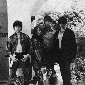 Giant Sunflower 的头像