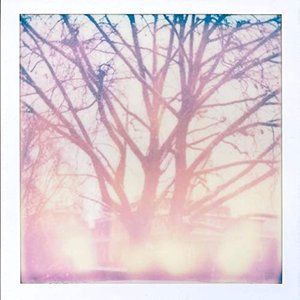 Forevergreen [Explicit]