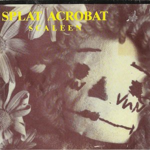 Splat Acrobat 的头像