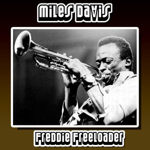 Freddie Freeloader