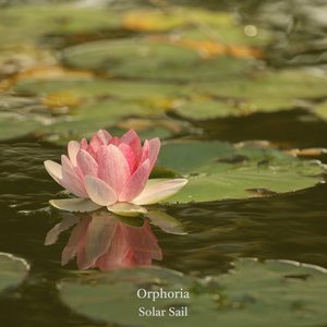 Orphoria 的头像