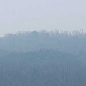 Umbrella - Single