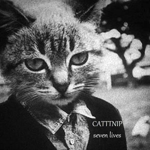 Avatar für Catttnip