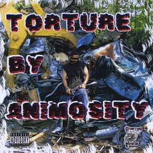 Torture By Animosity