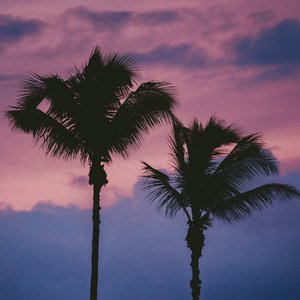 Avatar for Wavy Naps
