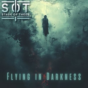 Flying in Darkness