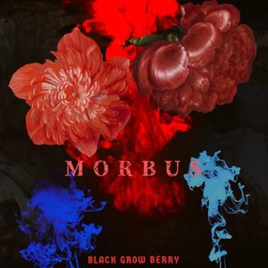 MORBUS
