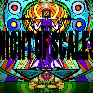 Night of scales 的头像