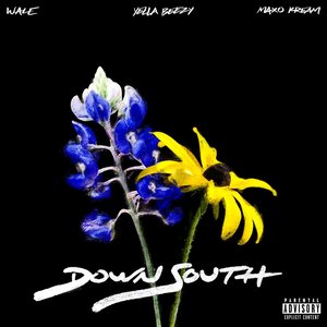 Down South (feat. Yella Beezy & Maxo Kream)