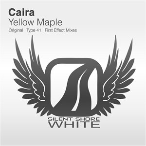 Yellow Maple