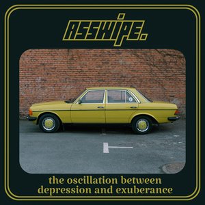 The Oscillation Between Depression and Exuberance