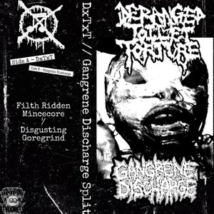 Deranged Toilet Torture // Gangrene Discharge (DXTXT Side