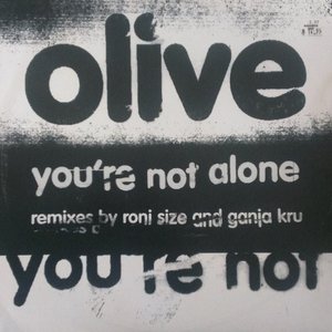 You're Not Alone (Remixes)