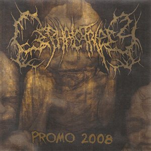 Promo 2008 - Single