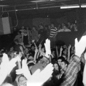 The Anthill Mob 的头像