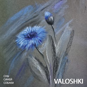 Valoshki