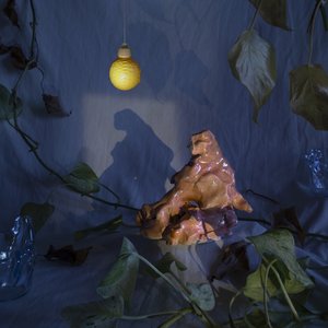 Koti katoaa öisin