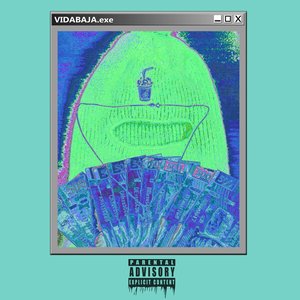 VIDABAJA.exe