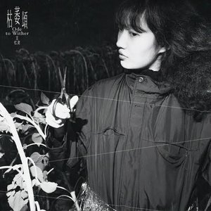 枯萎颂 (Ode to Wither)