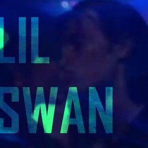 LIL SWAN 的头像