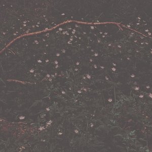 Holding - Single