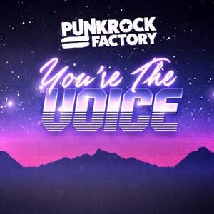 You're the Voice - Single