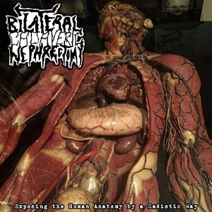 Exposing the Human Anatomy by a Sadistic Way