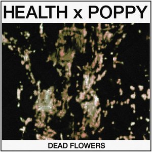 Avatar för HEALTH & Poppy