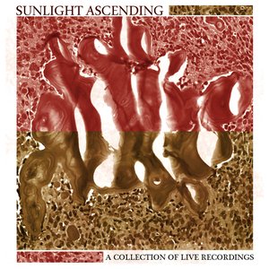A Collection Of Live Recordings